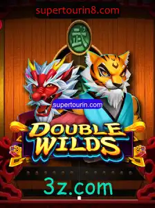 Explorando o Mundo de DoubleWilds: Um Guia Completo